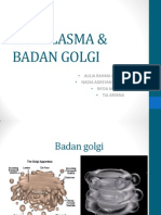 Sitoplasma & Badan Golgi