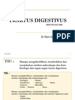 Traktus Digestivus