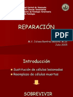  Reparacion y Cicatrización 