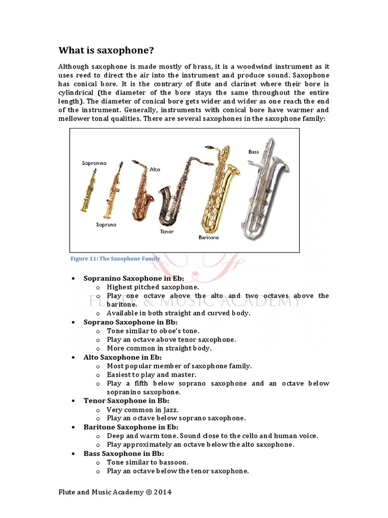 A Guide To Saxophone For Dummies | PDF | Saxophone | Tenor Saxophone