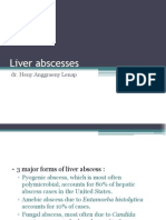 Liver Abscess Causes, Symptoms, Diagnosis and Treatment