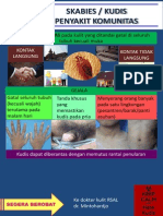 Scabies Ppt