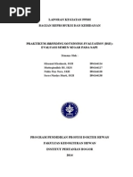 Download Laporan Semen FIX by inikhusnul SN249397116 doc pdf