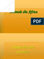 animaledinafrica-121112045702-phpapp02