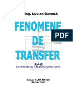 Fenomene de Transfer 2