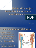 Uzroci I Klinička Slika Lezije N. Femoralisa I N. Cutaneus Femoris Lateralisa