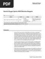 ROS Technical Details