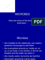 Microbes