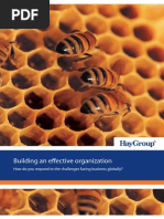 Hay Group Building Effective Organization