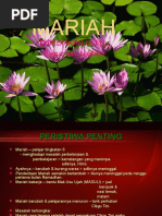 Sajak F5 Di Kota Kecilku Pdf