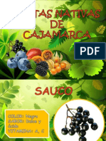 Frutas NATIVAS DE CAJAMARCA 