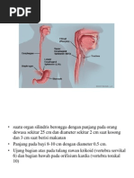 Anatomi Dan Fisiologi Trakea Anatomi Dan Fisiologi Trakea