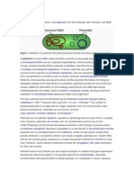 Plasmid Microbio