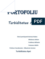 Portofoliu.docx