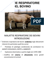 Malattie Respiratorie