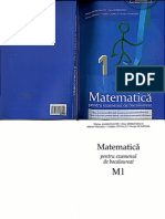 Matematica Pentru Examenul de Bacalaureat M1