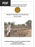 Download Financial Inclusion by Raman Kumar SN24944516 doc pdf