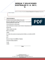 FormatoCV SSI