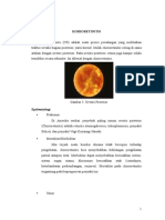 Korioretinitis