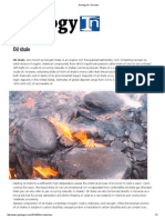 Geology IN_ Oil shale.pdf