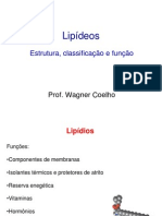 3_Lipideos