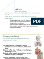 Materi Respirasi 1