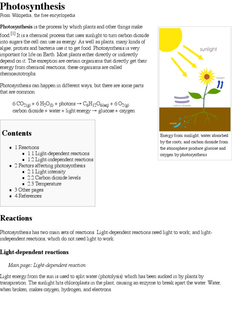 Photosynthesis Explained Simply | PDF | Photosynthesis | Adenosine ...
