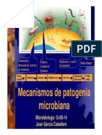 Clase M4 GRADO-2014-15 Mecanismos de Patogenia Microbiana