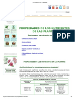 Nutrientes Minerales en Las Plantas PDF