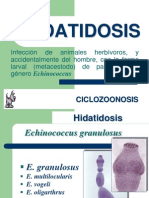 Hidatidosis