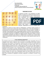 caderno_pedagogico_deficiencia_intelectual_sindrome_de_down.pdf