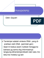 TRANSKRIPSI DAN TRANSLASI.pptx