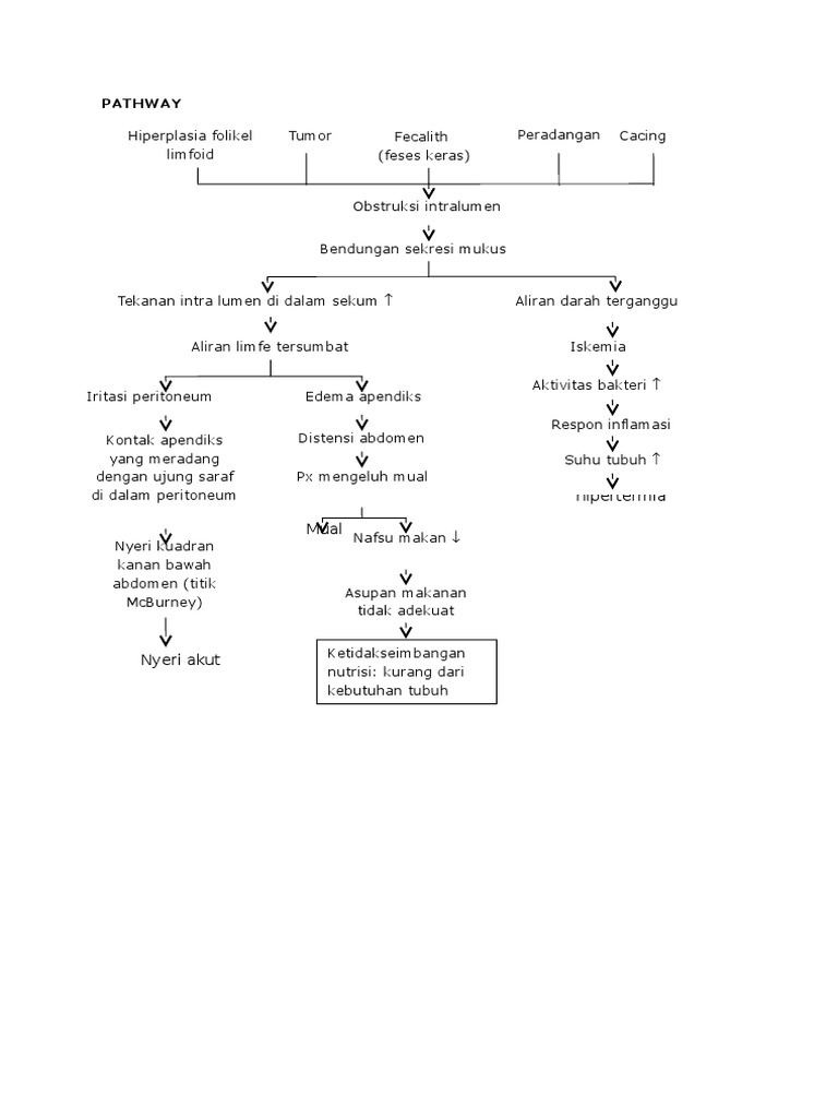 Pathway | PDF