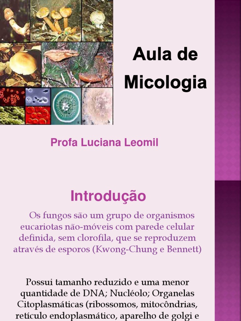 14-Aula de Micologia | PDF | Fungo | Fermento