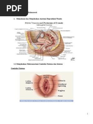 Qattiq porno videolarni tomosha qiling