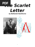 Download The Scarlet Letter Packet by monie1922 SN249515800 doc pdf