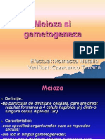 Meioza şi gametogeneza
