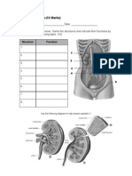 6 Excretory System Question