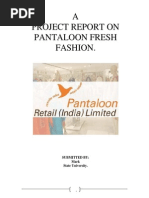 Pantaloon Project PDF