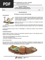 Ficha de Trabalho 1_Os Fósseis