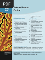 Sistema Nervoso