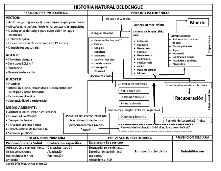 Historia Natural Del Dengue