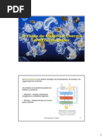 3. Fluxo de Materia e Energia Em Ecossistemas