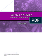 Cultivo de Uvilla Pourouma cecropiifolia Martius 