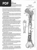 Download Anatomy Coloring Book