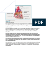 Mekanisme Jantung Normal