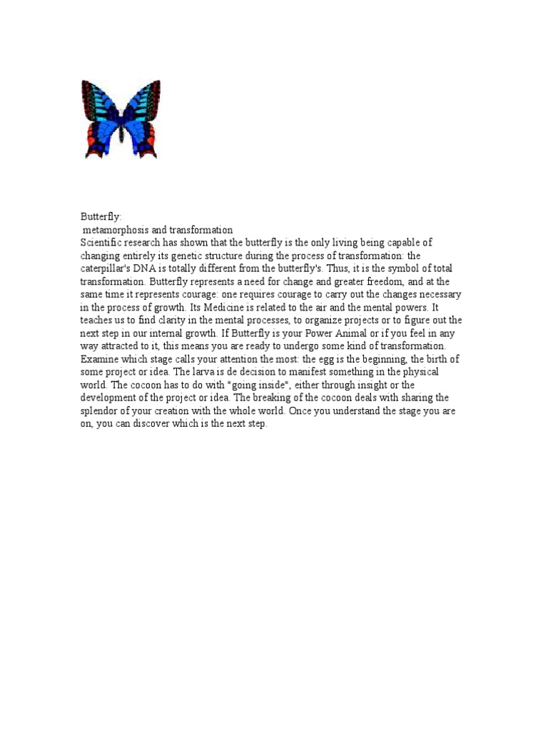 Butterfly | PDF