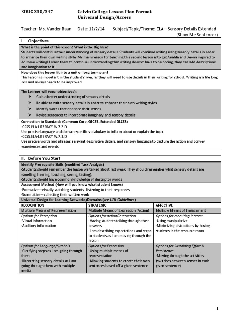 accessible lesson plan fa14 1 Perception Lesson Plan