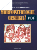 Morfopatologie generală 2010 Zota Ieremia RO