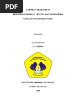 Download Gentamisin Sulfat by Ella Masliana Dewi SN249659396 doc pdf